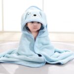 Hooded Towel