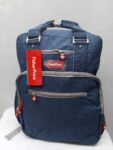 Fisher price back pack