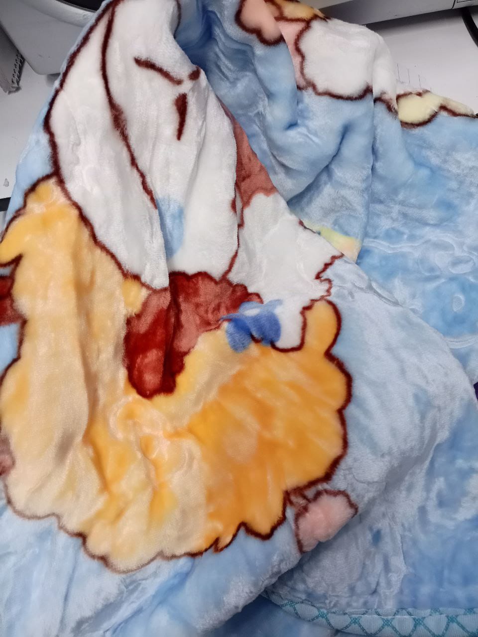 Baby soft blanket prints