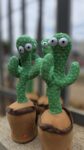 Dancing Cactus