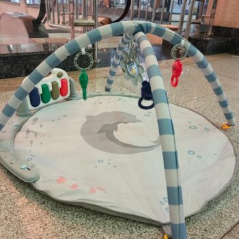 Baby Play Gym